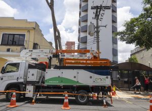 17659986576943004169ee5_1765998657_3x2_rt