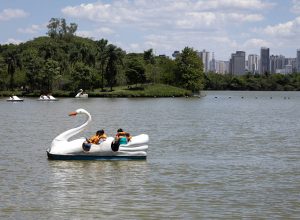 177508495169cda5979e4a8_1775084951_3x2_rt