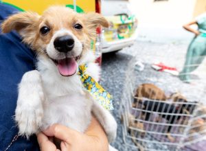 2025-03-19-14-41-088a2119-67db0fe21575b