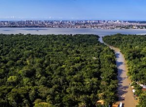 54913825786_cdd8efc00e_o