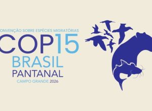 design-sem-nome-2026-03-20t155311.090