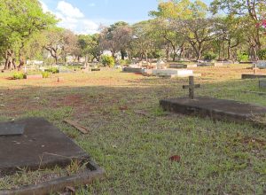 procura-tumulo-00042-frame-221