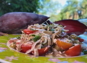 tocantins-jc-sabores-campo-1303