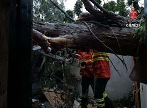 whatsapp-image-2026-03-20-at-18.43.47